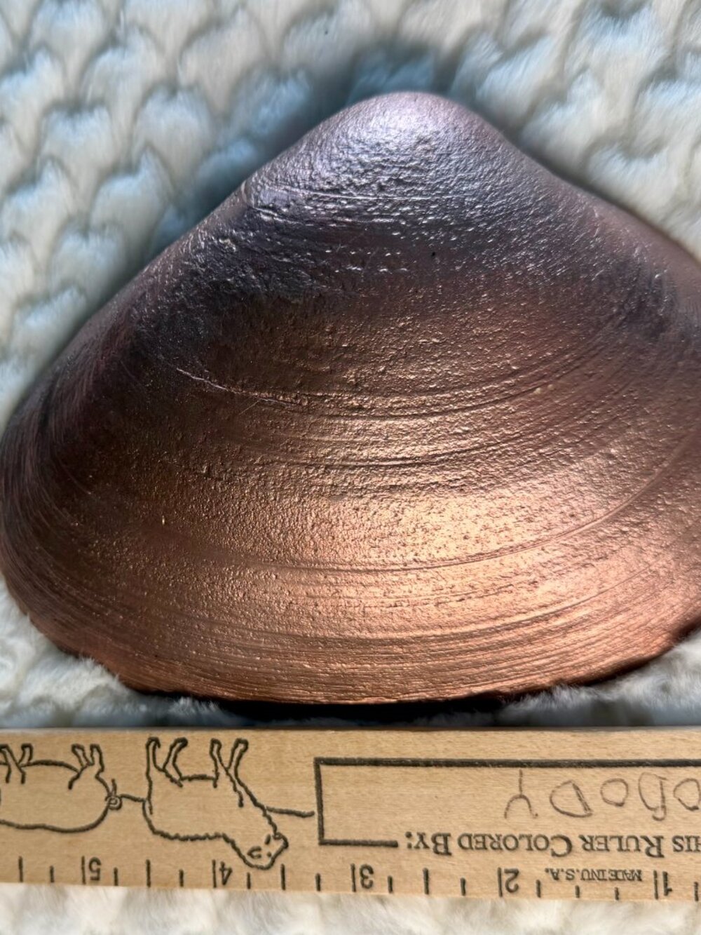 Large Rose Gold Clam Shell - Picture 2 of 5